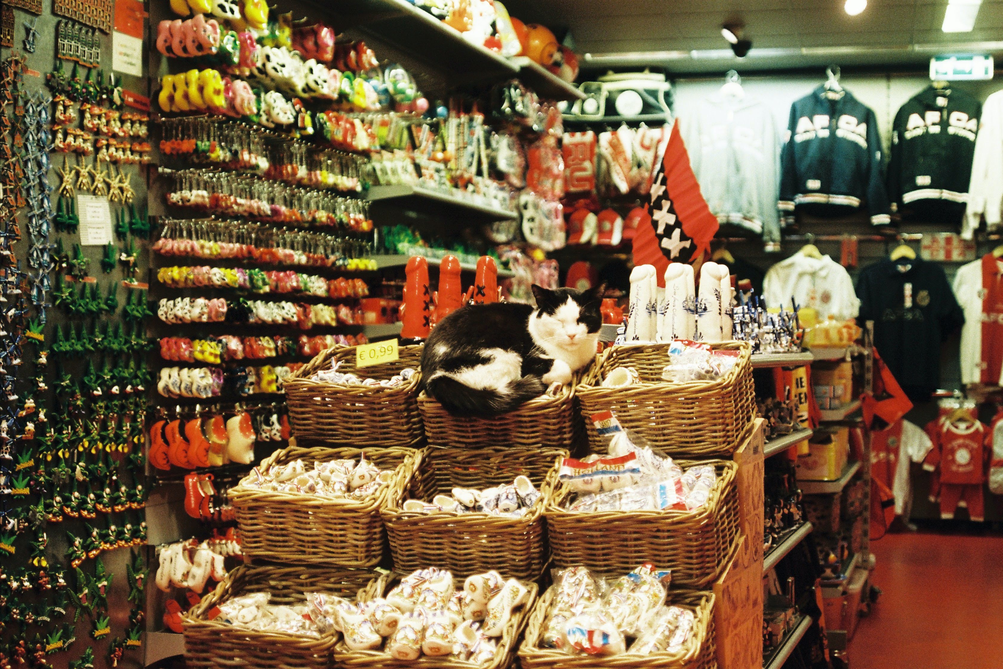 如何在海外開(kāi)設(shè)一家成功的寵物用品店？